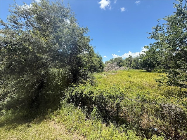 0 Goolsby St, Webster, FL 33597