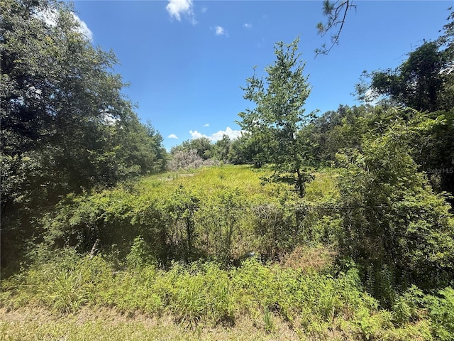 0 Goolsby St, Webster, FL 33597