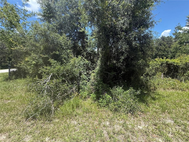 0 Goolsby St, Webster, FL 33597