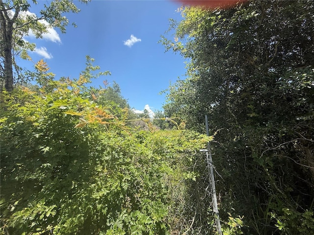 0 Goolsby St, Webster, FL 33597