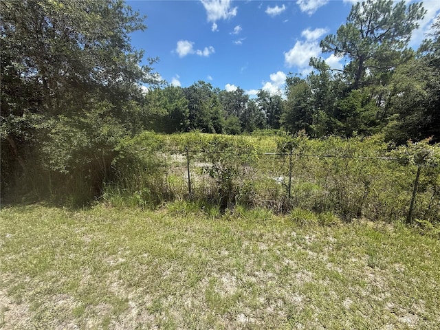 0 Goolsby St, Webster, FL 33597