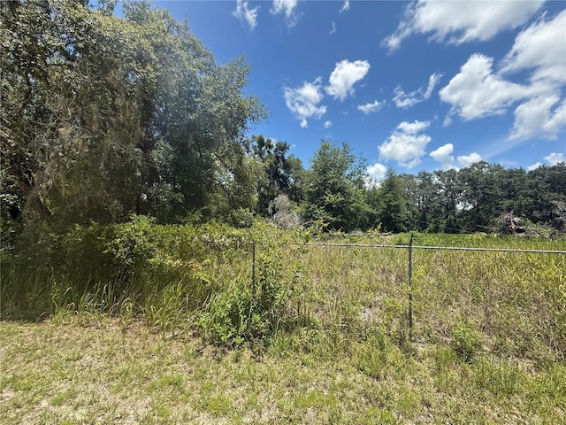 0 Goolsby St, Webster, FL 33597
