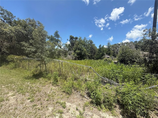 0 Goolsby St, Webster, FL 33597