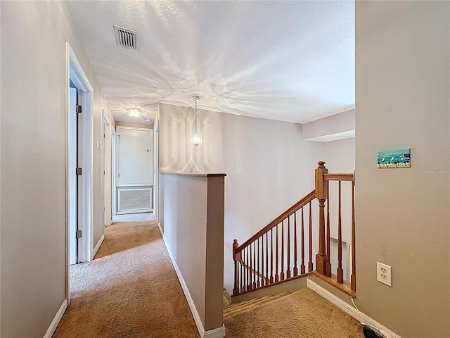 4222 Trumpworth Ct, Valrico, FL 33596 - corridor featuring an upstairs landing and carpet flooring