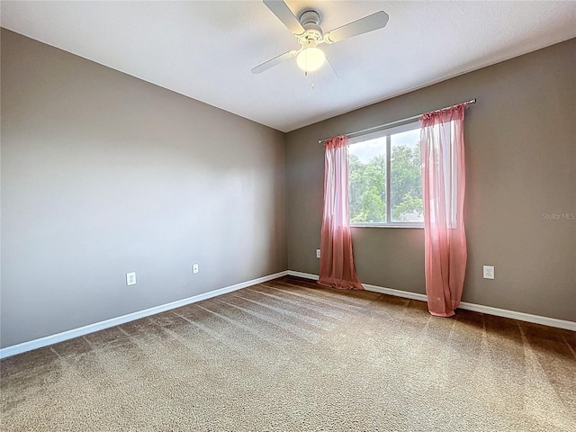 4222 Trumpworth Ct, Valrico, FL 33596 - unfurnished room with carpet floors and a ceiling fan
