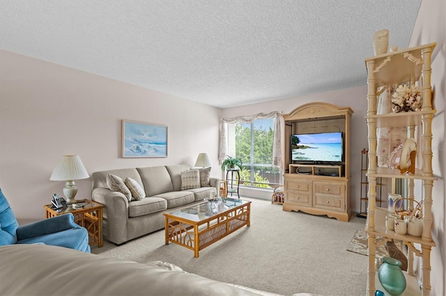 630 Windrush Bay Dr Unit 630, Tarpon Springs, FL 34689 - living room with carpet floors and a textured ceiling
