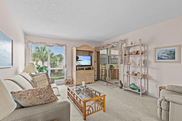 630 Windrush Bay Dr Unit 630, Tarpon Springs, FL 34689 - carpeted living area with a textured ceiling