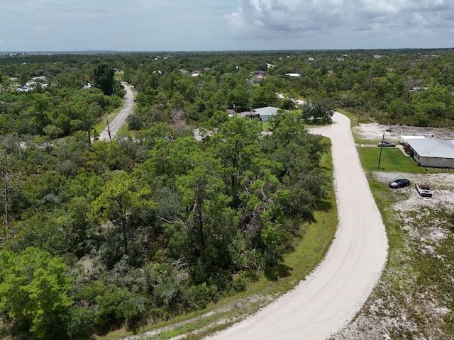 102 Edison Rd NE, Lake Placid, FL 33852