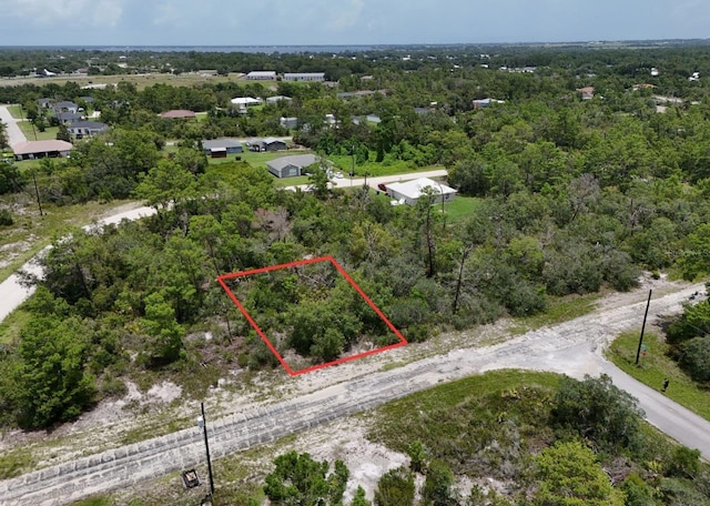 102 Edison Rd NE, Lake Placid, FL 33852