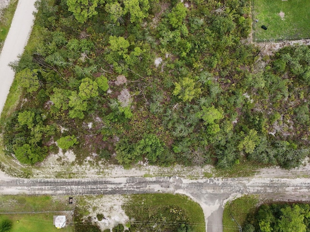 102 Edison Rd NE, Lake Placid, FL 33852