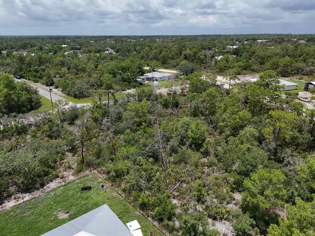 102 Edison Rd NE, Lake Placid, FL 33852