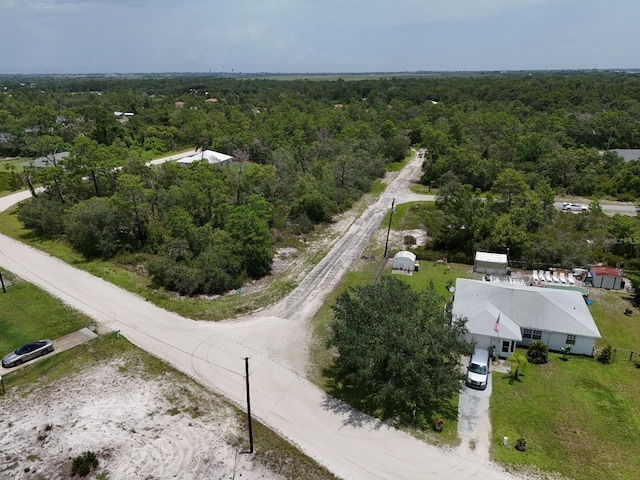 102 Edison Rd NE, Lake Placid, FL 33852