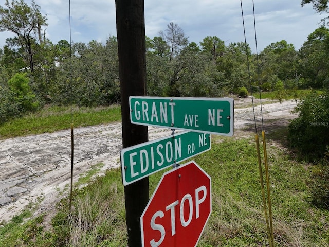 102 Edison Rd NE, Lake Placid, FL 33852