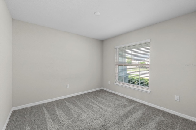 11958 Stone Pine St, Riverview, FL 33569 - empty room with carpet floors