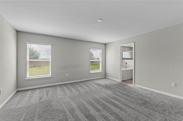 11958 Stone Pine St, Riverview, FL 33569 - carpeted spare room featuring baseboards
