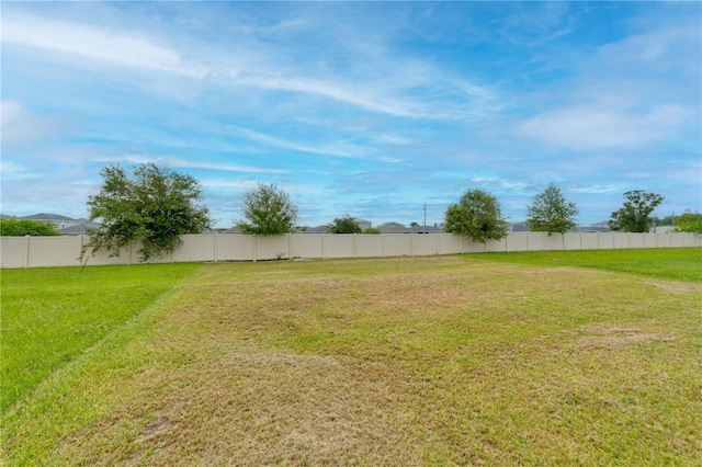 11958 Stone Pine St, Riverview, FL 33569 - view of yard
