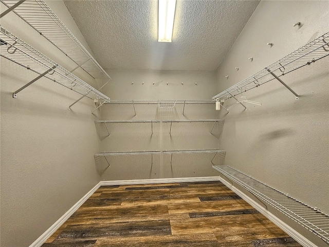 10928 Echo Loop, New Port Richey, FL 34654 - spacious closet featuring wood finished floors