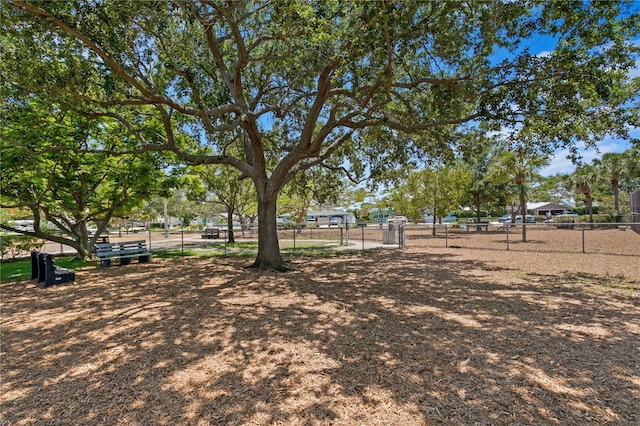 131 N Tessier Dr, St Pete Beach, FL 33706 - view of yard