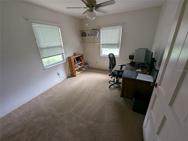 5710 S Bernie St, Tampa, FL 33611 - photo 23