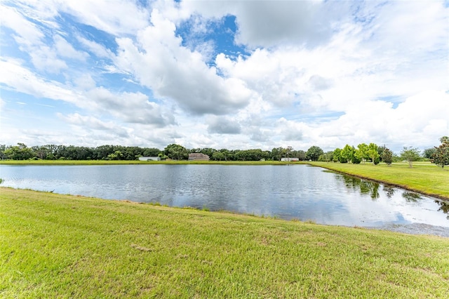 14403 Woodland Spur Dr, Lithia, FL 33547 - photo 58