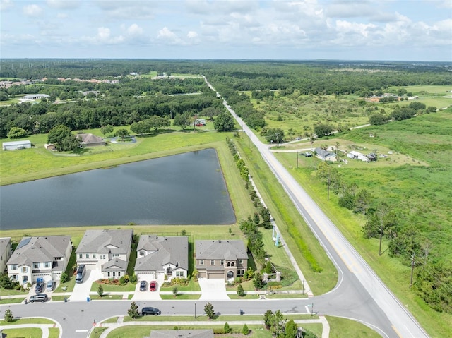 14403 Woodland Spur Dr, Lithia, FL 33547 - photo 60