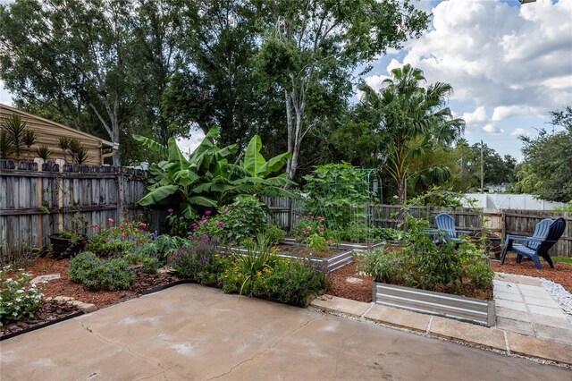 3739 Grand Forks Dr, Land O Lakes, FL 34639 - photo 43