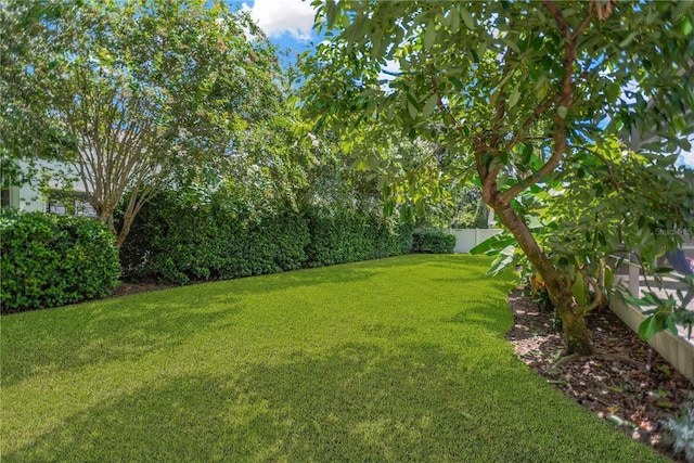 3015 Partridge Point Trl, Valrico, FL 33596 - photo 26