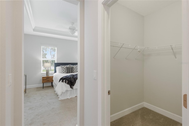 527 Jetstar Ln, Oldsmar, FL 34677 - walk in closet featuring carpet and a tray ceiling