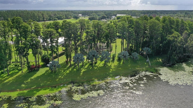 19410 N 41st Hwy, Lutz, FL 33548 - bird's eye view of a large body of water