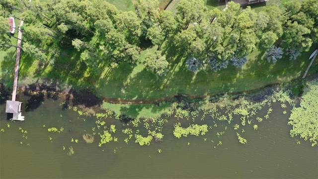 19410 N 41st Hwy, Lutz, FL 33548 - view of property location featuring a nearby body of water