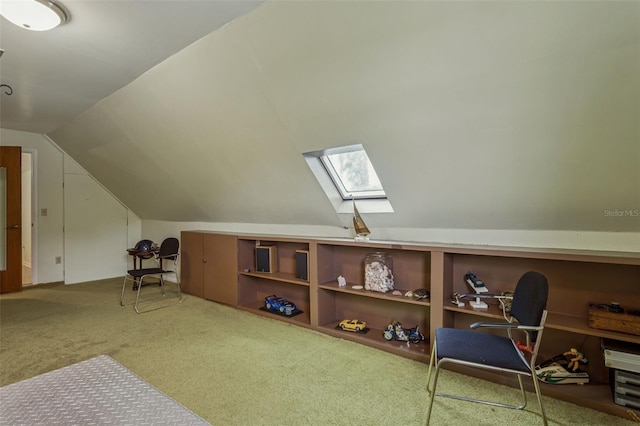 19410 N 41st Hwy, Lutz, FL 33548 - bonus room with carpet flooring, a skylight, and vaulted ceiling