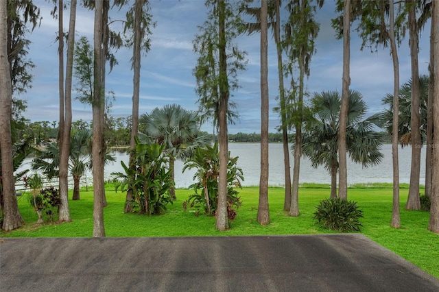 19410 N 41st Hwy, Lutz, FL 33548 - water view