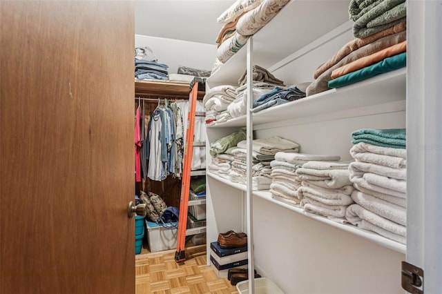 19410 N 41st Hwy, Lutz, FL 33548 - view of spacious closet