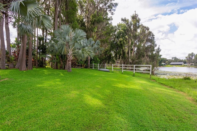 19410 N 41st Hwy, Lutz, FL 33548 - view of yard featuring a water view