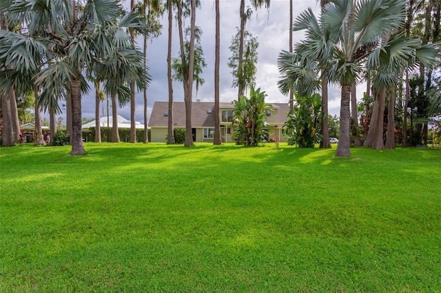 19410 N 41st Hwy, Lutz, FL 33548 - view of green lawn