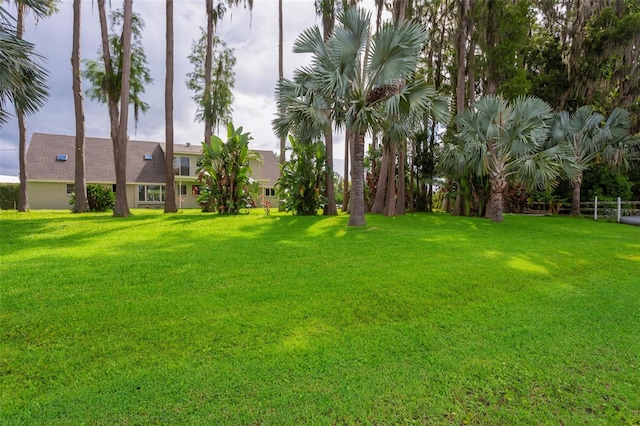 19410 N 41st Hwy, Lutz, FL 33548 - view of grassy yard