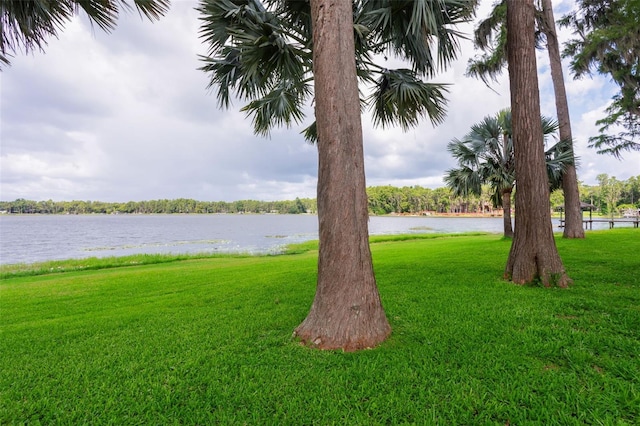 19410 N 41st Hwy, Lutz, FL 33548 - view of green lawn with a water view