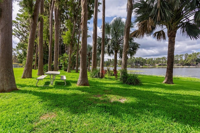 19410 N 41st Hwy, Lutz, FL 33548 - view of green lawn featuring a water view