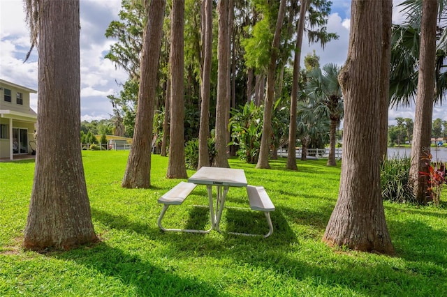 19410 N 41st Hwy, Lutz, FL 33548 - view of community with a yard