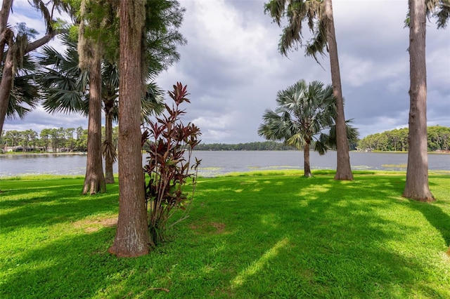 19410 N 41st Hwy, Lutz, FL 33548 - view of grassy yard with a water view