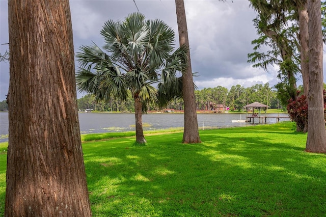 19410 N 41st Hwy, Lutz, FL 33548 - view of green lawn with a gazebo and a water view