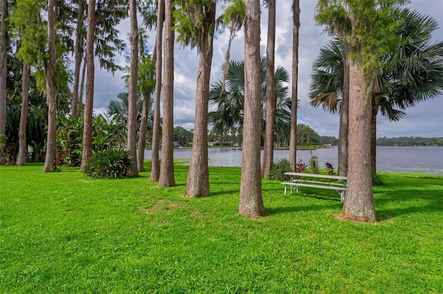 19410 N 41st Hwy, Lutz, FL 33548 - view of green lawn with a water view