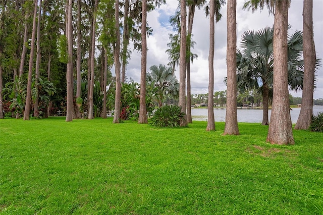 19410 N 41st Hwy, Lutz, FL 33548 - view of grassy yard featuring a water view
