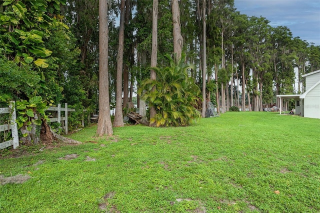 19410 N 41st Hwy, Lutz, FL 33548 - view of yard