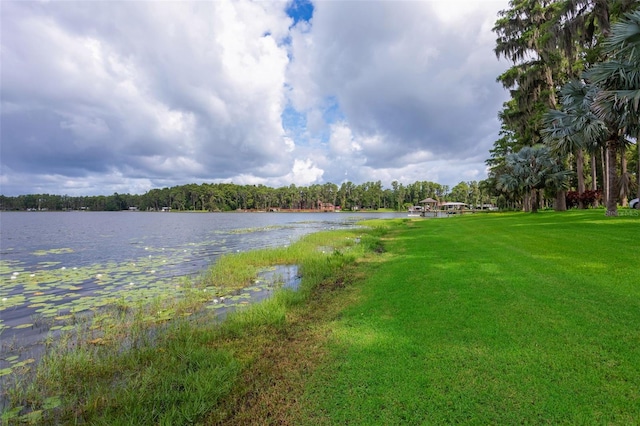 19410 N 41st Hwy, Lutz, FL 33548 - water view