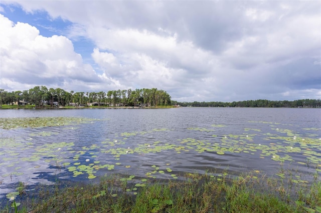 19410 N 41st Hwy, Lutz, FL 33548 - water view