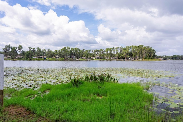 19410 N 41st Hwy, Lutz, FL 33548 - water view