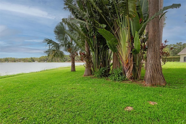 19410 N 41st Hwy, Lutz, FL 33548 - view of green lawn featuring a water view