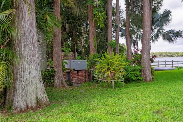 19410 N 41st Hwy, Lutz, FL 33548 - view of yard with mail area