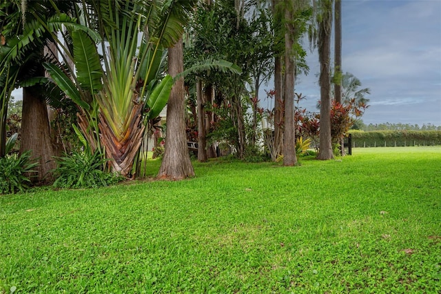 19410 N 41st Hwy, Lutz, FL 33548 - view of grassy yard
